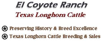 Registered Texas Longhorn Cattle, Semen, Sales, Information