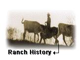 Texas Longhorn Cattle and Ranch History